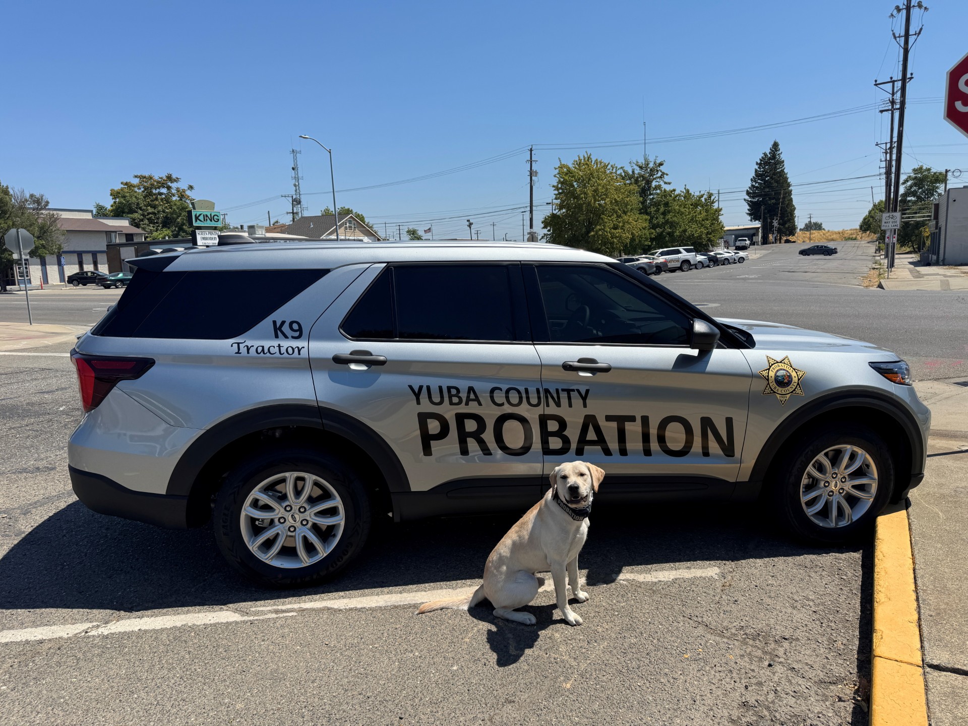 PPPS Week Celebrations