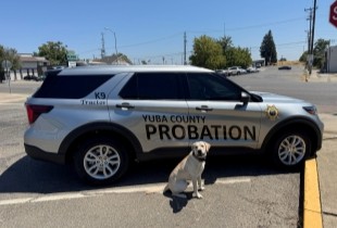 PPPS Week Celebrations