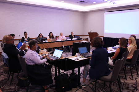 Board of Directors Meeting